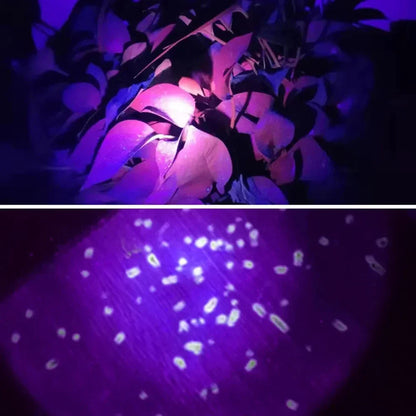 Lampe-Frontale-LED-Rechargeable-avec-UV-SQ-818-UV-مصباح-الرأس-القابل-للشحن-بإضاءة-مزدوجة.png