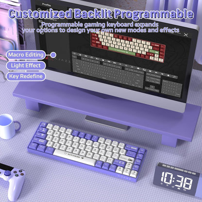 Clavier-M-canique-Gaming-65-Compact-Filaire-avec-Hotswap-et-R-tro-clairage-Rainbow-لوحة-مفاتيح-ميكانيكية.png