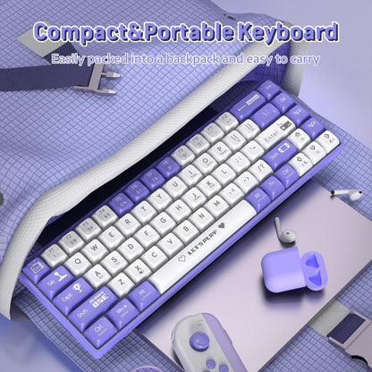 Clavier-M-canique-Gaming-65-Compact-Filaire-avec-Hotswap-et-R-tro-clairage-Rainbow-لوحة-مفاتيح-ميكانيكية.png