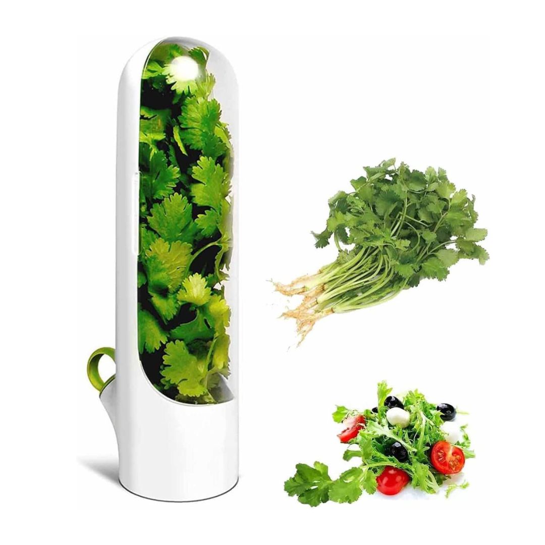 Capsule de stockage et conservation d'herbes - تنزوت