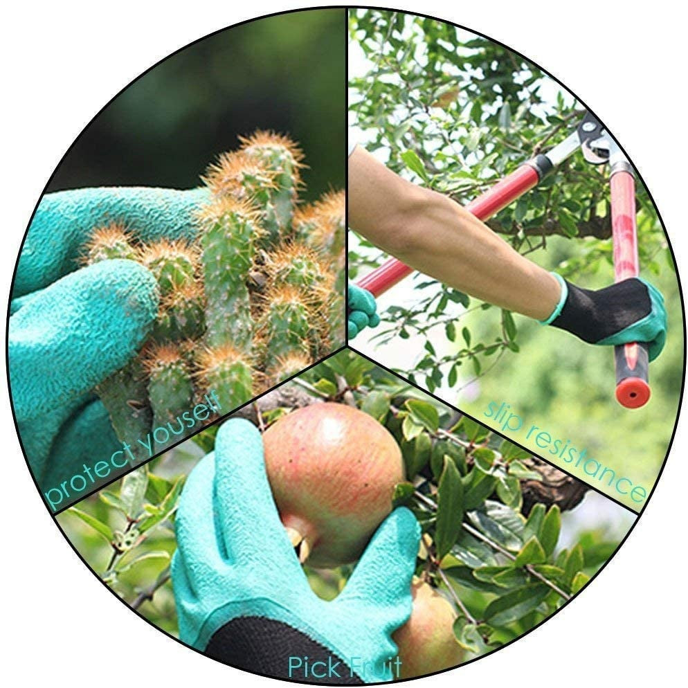 Gants de jardinage avec griffes تنزوت