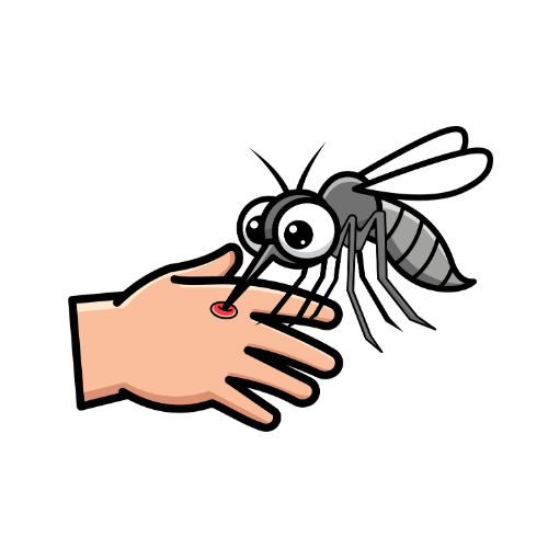 Anti-insectes et répulsifs