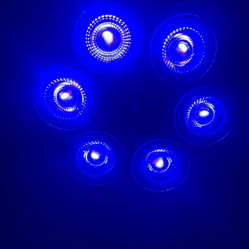 Projecteur de lumière Sonore RGB + W 4 en 1 Avec Bluetooth effet stroboscope - تنزوت
