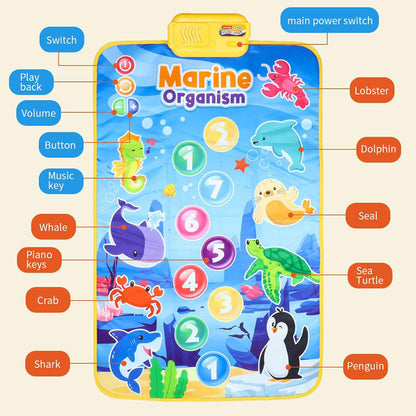 Tapis Musical et Jouet Éducatif pour Enfants 63x43cm – بساط ألعاب للرضع تنزوت