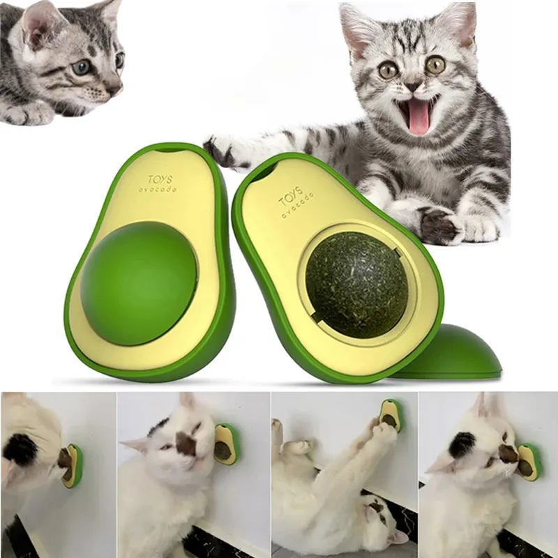 Boule-murale-en-forme-d-avocat-et-d-herbe-chat-jouets-l-cher-comestibles-friandises-rotatives-pour-chaton-360.png