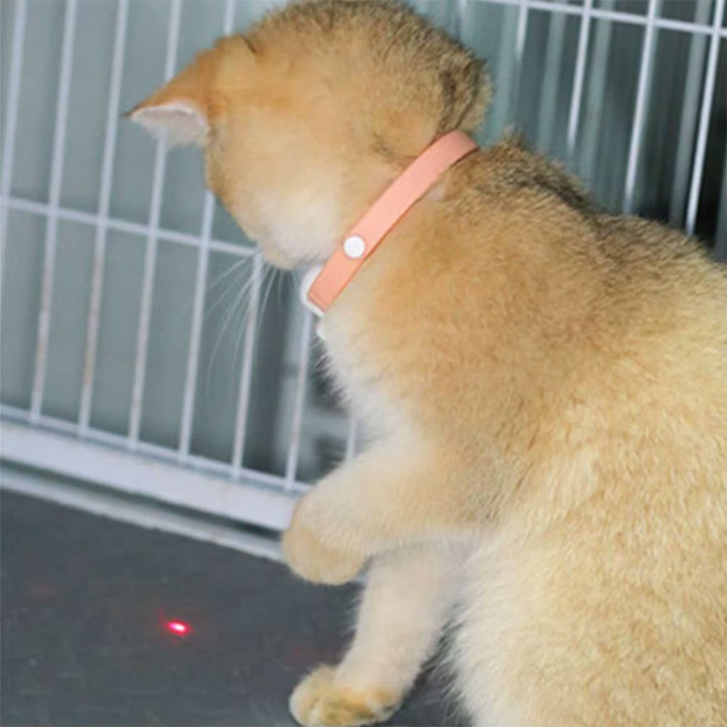 Collier-Laser-LED-un-Jouet-Interactif-pour-Chat-سوار-ليزر-للقطط.png