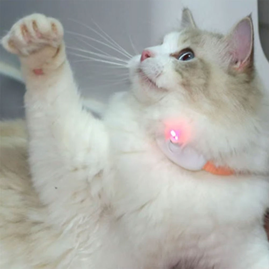 Collier-Laser-LED-un-Jouet-Interactif-pour-Chat-سوار-ليزر-للقطط.png