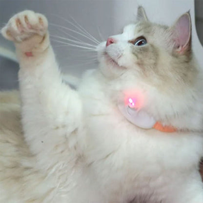 Collier-Laser-LED-un-Jouet-Interactif-pour-Chat-سوار-ليزر-للقطط.png