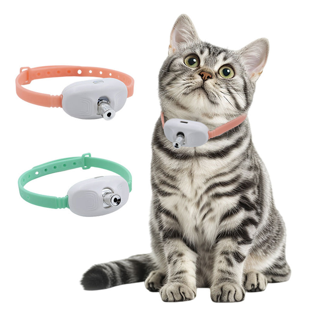 Collier-Laser-LED-un-Jouet-Interactif-pour-Chat-سوار-ليزر-للقطط.png