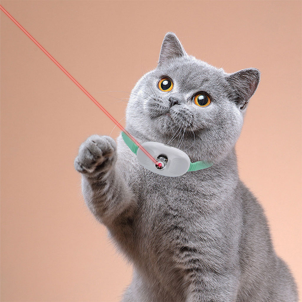 Collier-Laser-LED-un-Jouet-Interactif-pour-Chat-سوار-ليزر-للقطط.png