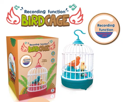 Cage à oiseaux Jouet éducatif d'enregistrement vocal avec de la musique et de la lumière - لعبة قفص عصافير لطيفة تعليمية للتسجيل صوتي مع الموسيقى والضوء تنزوت