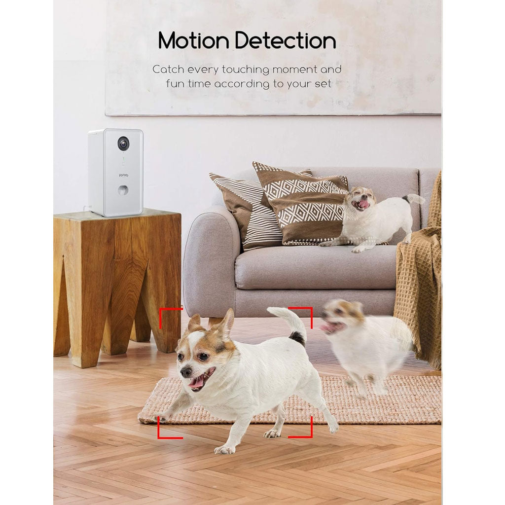 Faroro-Cam-ra-Full-HD-1080P-pour-chien-avec-distributeur-de-friandises-distance.png