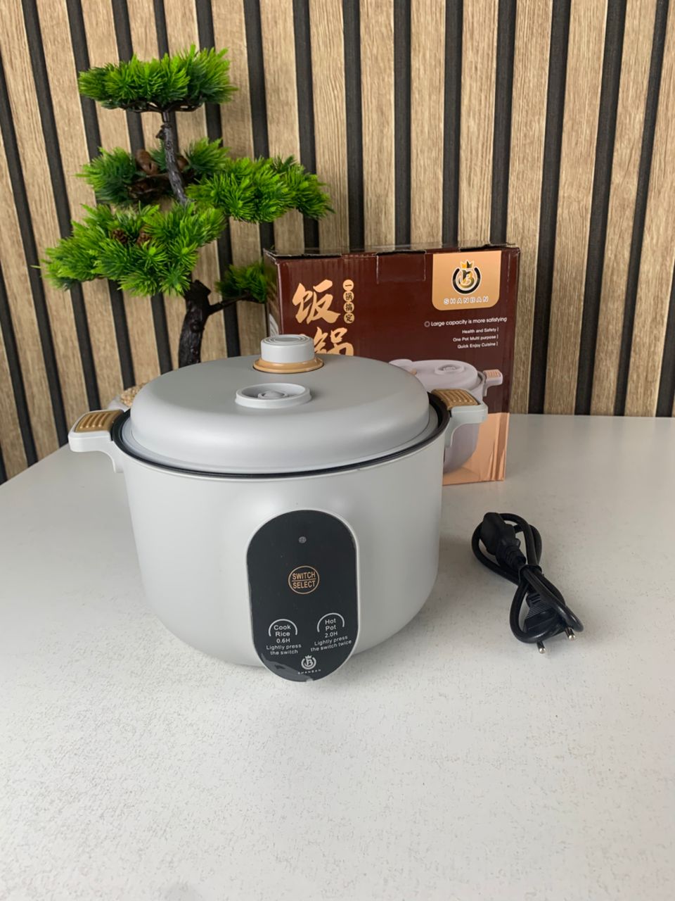 Cuiseur-Electrique-Multifonctionnel-pour-la-Cuisine-20cm-جهاز-طهي-محمول.png