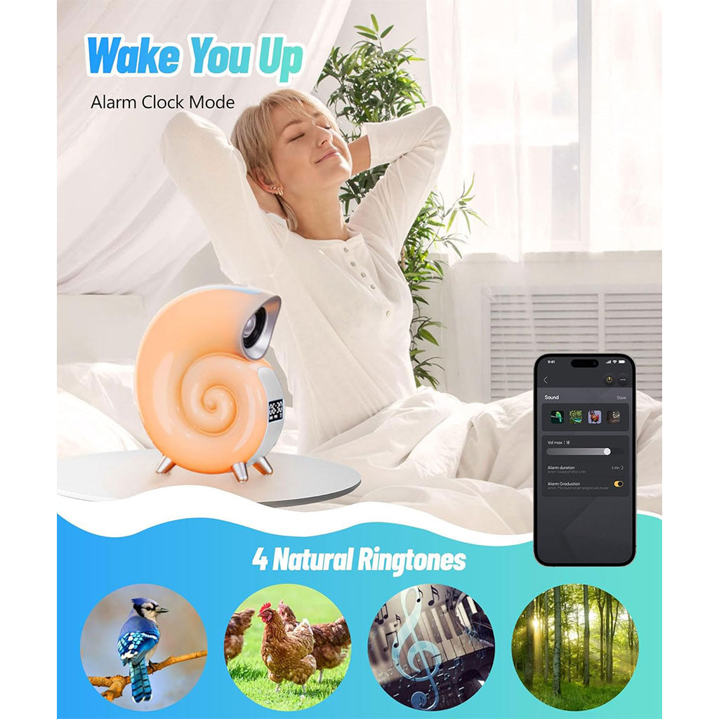 Lampe de Table avec Haut-parleur Bluetooth RGB – مكبر صوت ومنبه على شكل محارة تنزوت