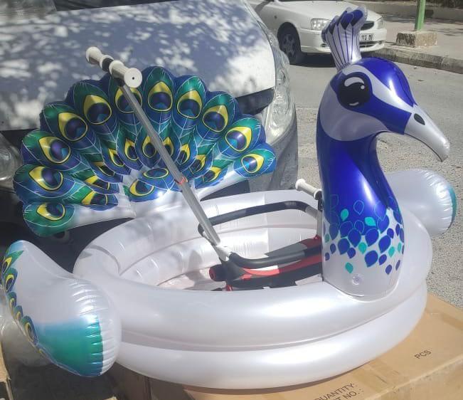 Bouée de piscine Design Paon 3D pour Enfants – حوض سباحة على شكل طائر تنزوت