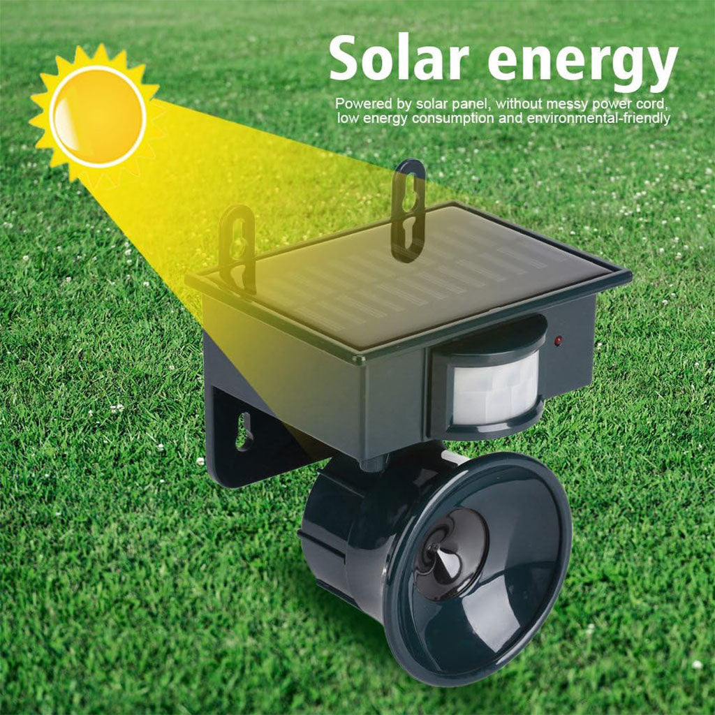 Répulsif solaire sonique pour animaux et oiseaux avec détecteur de mouvement – جهاز طارد للحيونات والطيور تنزوت