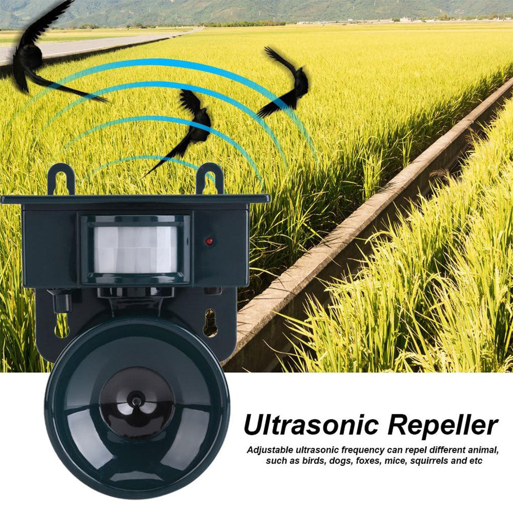 Répulsif solaire sonique pour animaux et oiseaux avec détecteur de mouvement – جهاز طارد للحيونات والطيور تنزوت