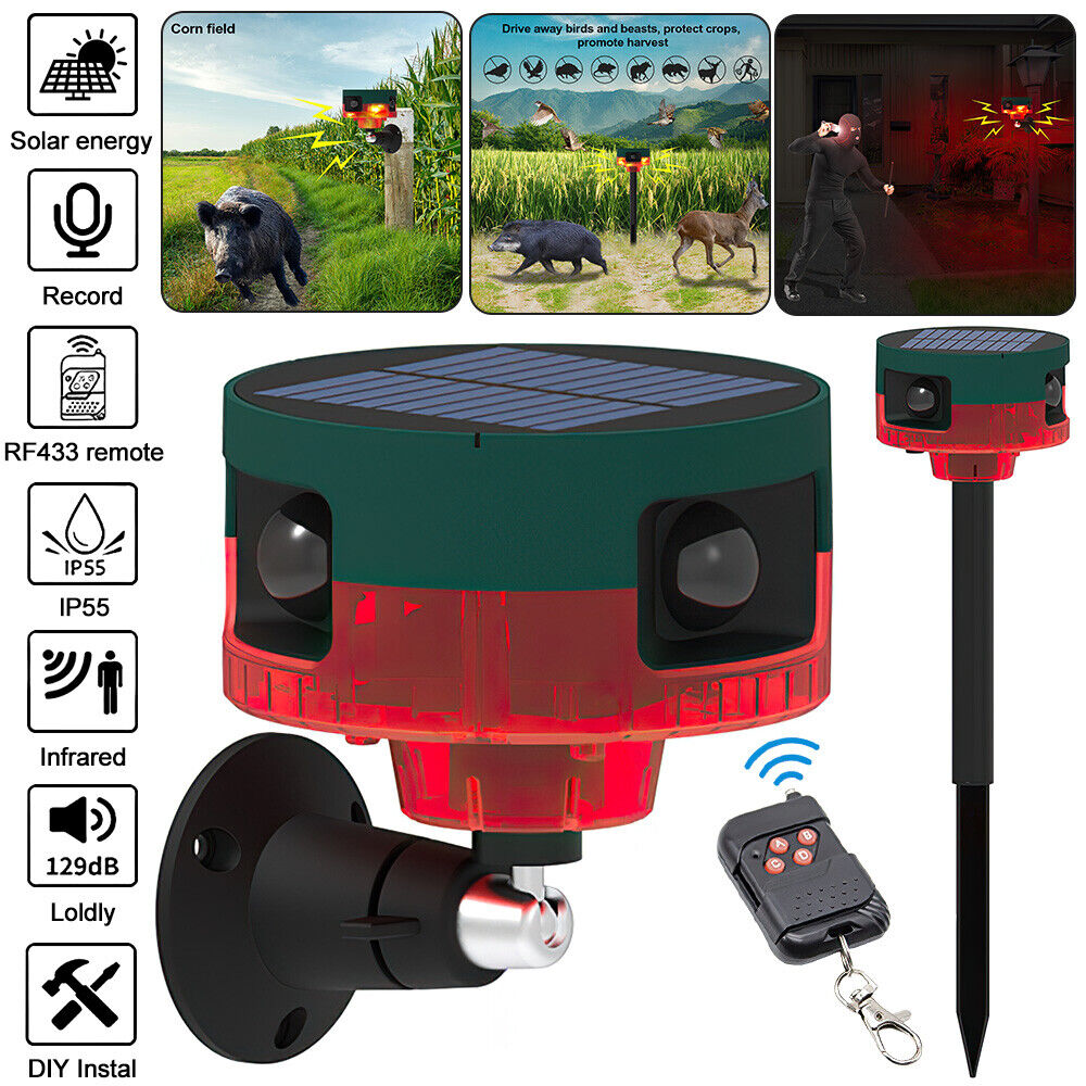 Répulsif pour animeux Capteur de mouvement à énergie solaire, alarme sonore et lumineuse 6 LED - مستشعر حركة يعمل بالطاقة الشمسية لطارد الحيوانات تنزوت
