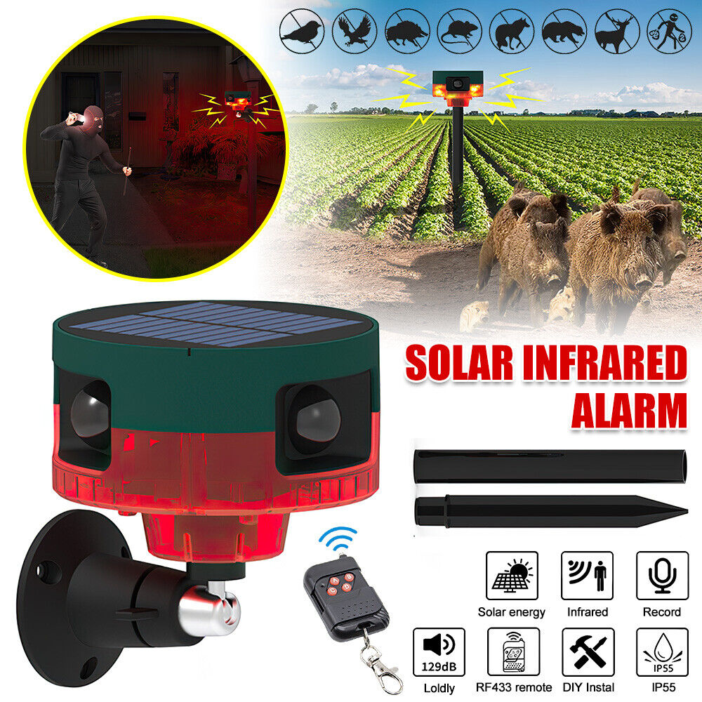 Répulsif pour animeux Capteur de mouvement à énergie solaire, alarme sonore et lumineuse 6 LED - مستشعر حركة يعمل بالطاقة الشمسية لطارد الحيوانات تنزوت
