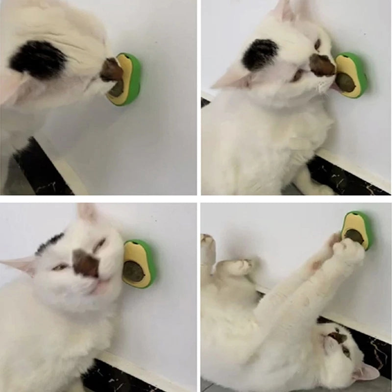 Boule-murale-en-forme-d-avocat-et-d-herbe-chat-jouets-l-cher-comestibles-friandises-rotatives-pour-chaton-360.png
