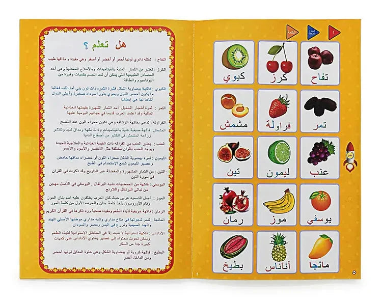 الكتاب الالكتروني للمفردات العربية لتعليم سهل و مرح Livre Electronique De Vocabulaire Arabe Pour Un Apprentissage Facile Et Amusant تنزوت