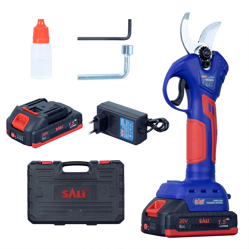 SALI-S-cateur-lectrique-25-V-avec-2-Batteries.png