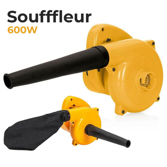 Aspirateur-Souffleur-pour-Ext-rieur-et-Int-rieur-600W.png