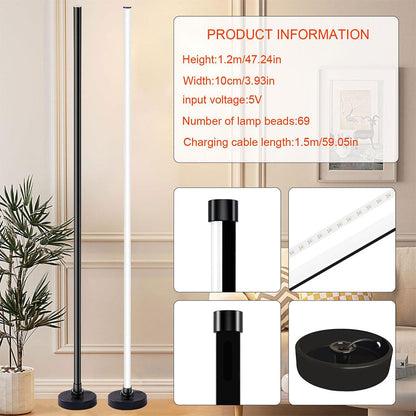 Lampadaire d’Angle LED RGB à Intensité Variable – مصباح ملون للديكور تنزوت