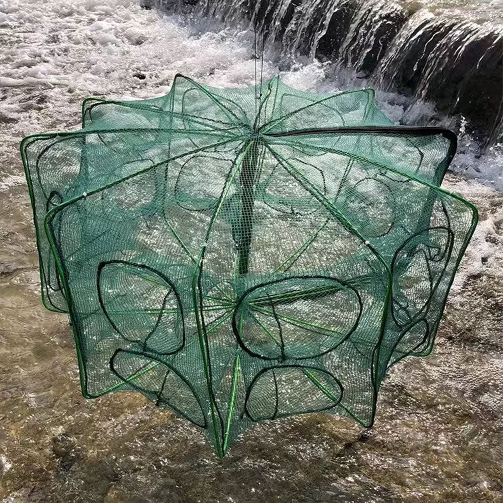 Piège de Pêche Poissons 8 Trous Facile a Installer 80cm تنزوت