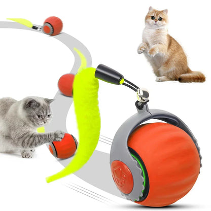 Jouets interactifs pour chat boule roulante électrique – لعبة القطط الكرة المتدحرجة الكهربائية - تنزوت