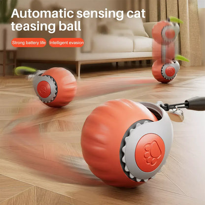 Jouets interactifs pour chat boule roulante électrique – لعبة القطط الكرة المتدحرجة الكهربائية - تنزوت