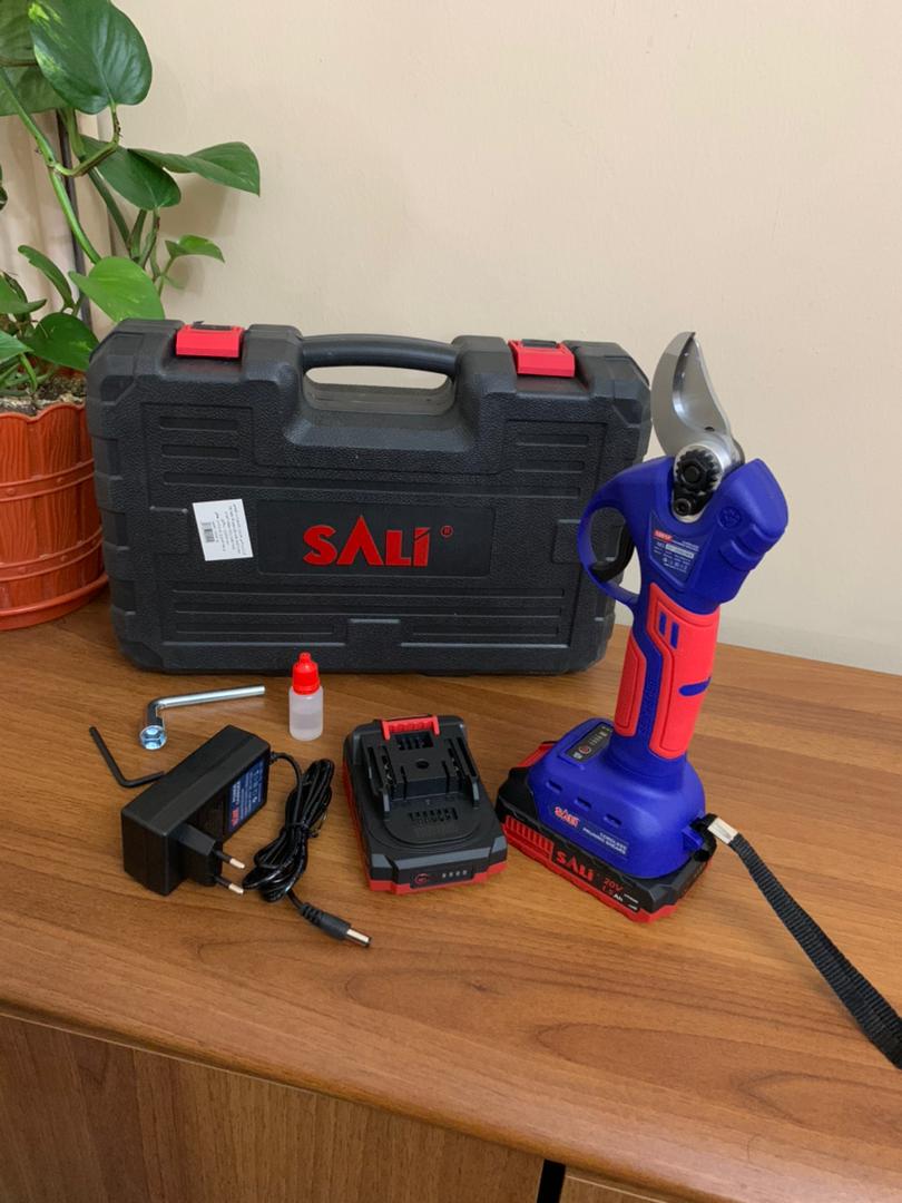 SALI-S-cateur-lectrique-25-V-avec-2-Batteries.png
